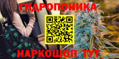 прущие крисы Обнинск