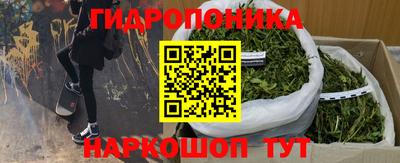 прущие крисы Обнинск