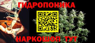 стафф Обь